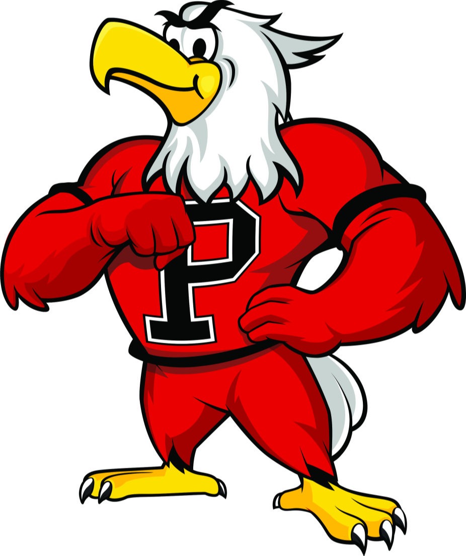 Paonia Eagles - Eagle Logo